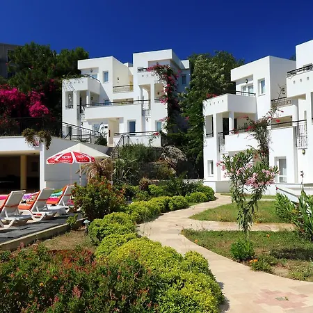 Club Pedalisa 博德鲁姆