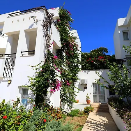 Club Pedalisa 博德鲁姆