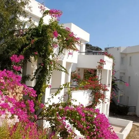 Club Pedalisa 3* Αλικαρνασσός