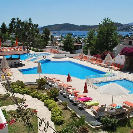 Club Pedalisa Αλικαρνασσός